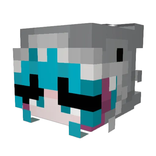 RainShark Minecraft avatar head, 3D render