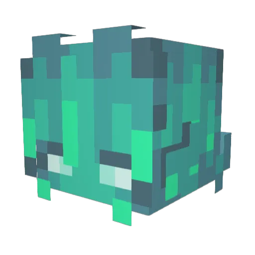 RainSomewhere Minecraft avatar head, 3D render