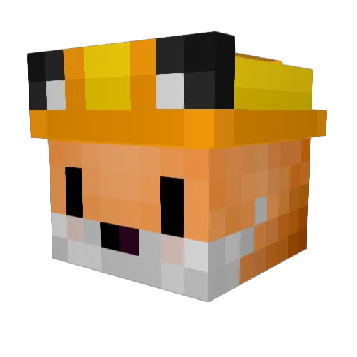 RainX220 Minecraft avatar head, 3D render