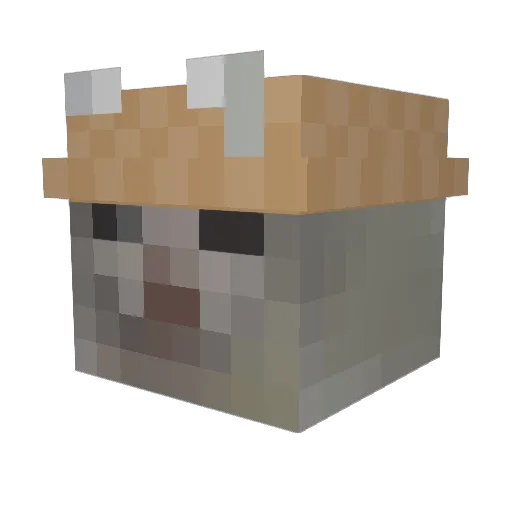 Rain_1011 Minecraft avatar head, 3D render
