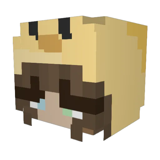 Rain_190 Minecraft avatar head, 3D render