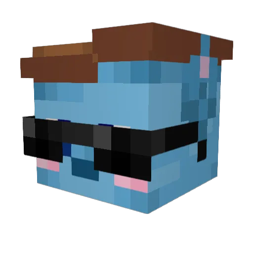Rain_Dyn Minecraft avatar head, 3D render
