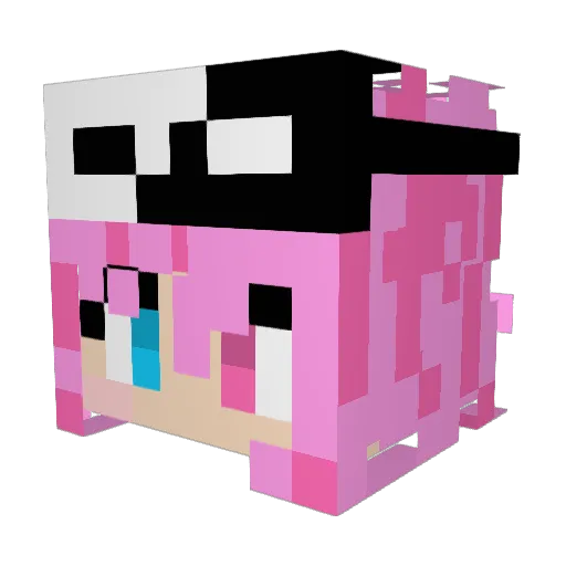 Rain_Fun Minecraft avatar head, 3D render