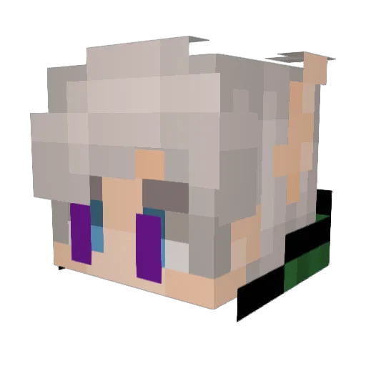 Rain_KillSwitch Minecraft avatar head, 3D render