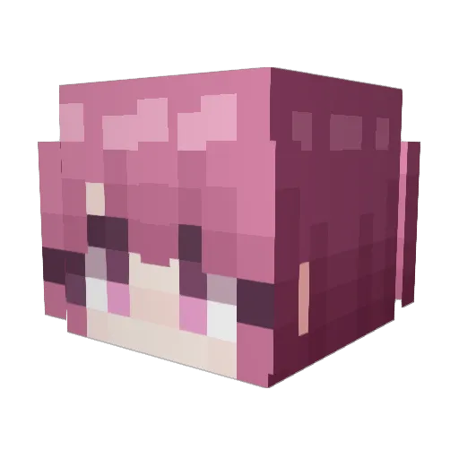 Rain_coat_ Minecraft avatar head, 3D render
