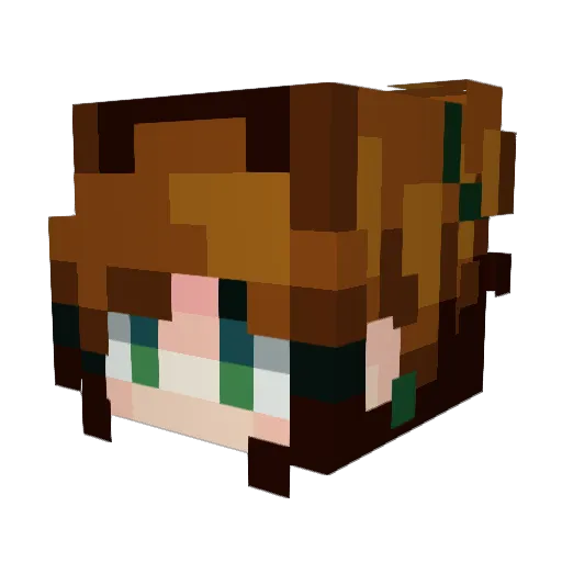 Rain_rain Minecraft avatar head, 3D render