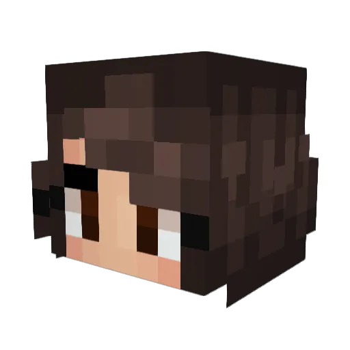 Rainax Minecraft avatar head, 3D render