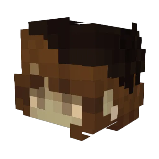 Rainbau Minecraft avatar head, 3D render