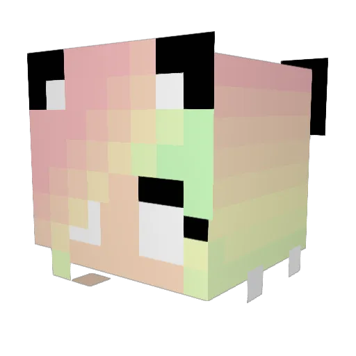 Rainbow2288 Minecraft avatar head, 3D render