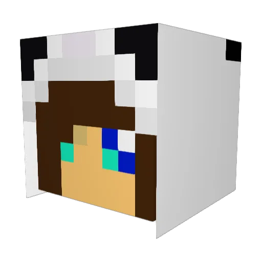 Rainbow724 Minecraft avatar head, 3D render