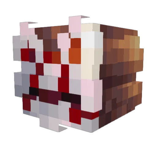 RainbowBearAva Minecraft avatar head, 3D render