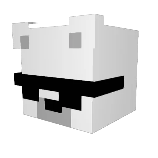 RainbowBooch354 Minecraft avatar head, 3D render