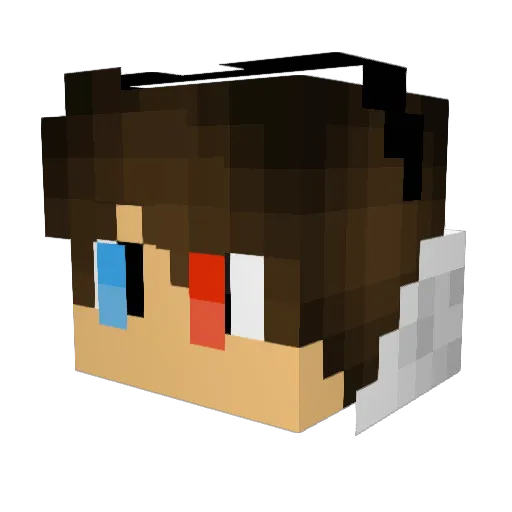 RainbowBot Minecraft avatar head, 3D render