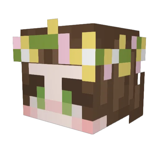 RainbowBowties Minecraft avatar head, 3D render