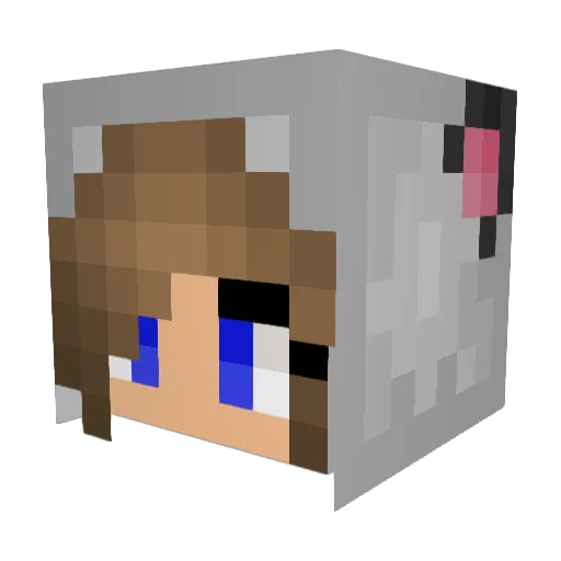RainbowBuddy5871 Minecraft avatar head, 3D render