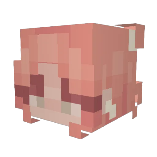 RainbowCandyCane Minecraft avatar head, 3D render