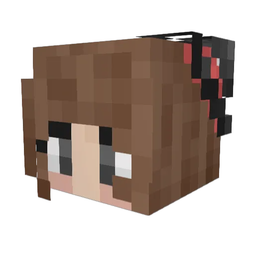 RainbowCannons Minecraft avatar head, 3D render