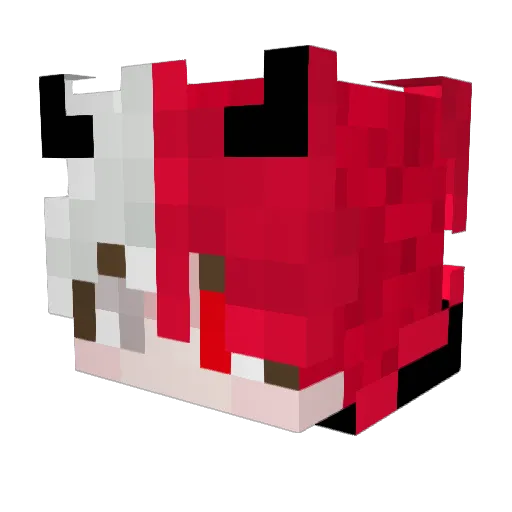 RainbowCatplayz Minecraft avatar head, 3D render