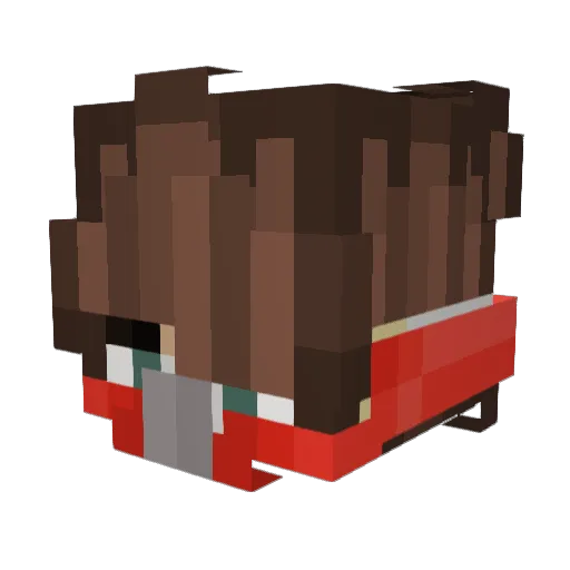 RainbowCoast01 Minecraft avatar head, 3D render