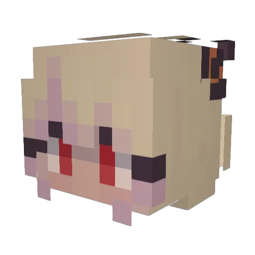 RainbowDash0803 Minecraft avatar head, 3D render