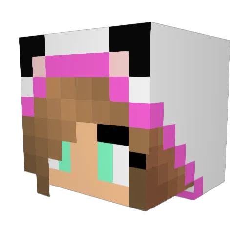 RainbowDash59 Minecraft avatar head, 3D render