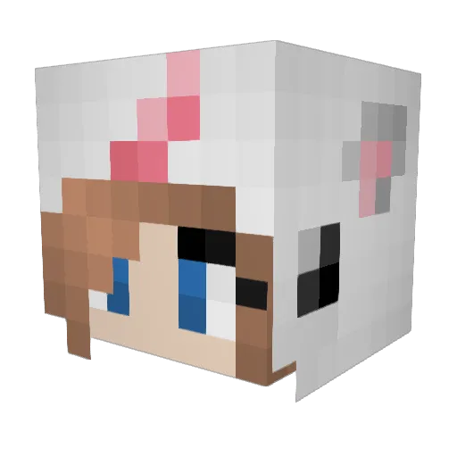 RainbowDimension Minecraft avatar head, 3D render