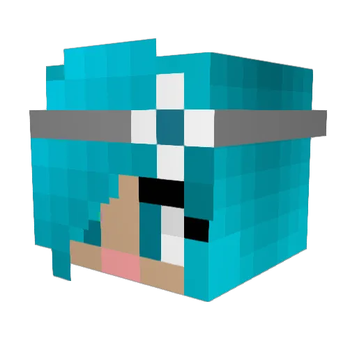 RainbowDolphin01 Minecraft avatar head, 3D render