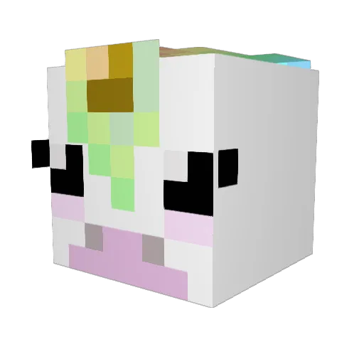 RainbowDussst Minecraft avatar head, 3D render