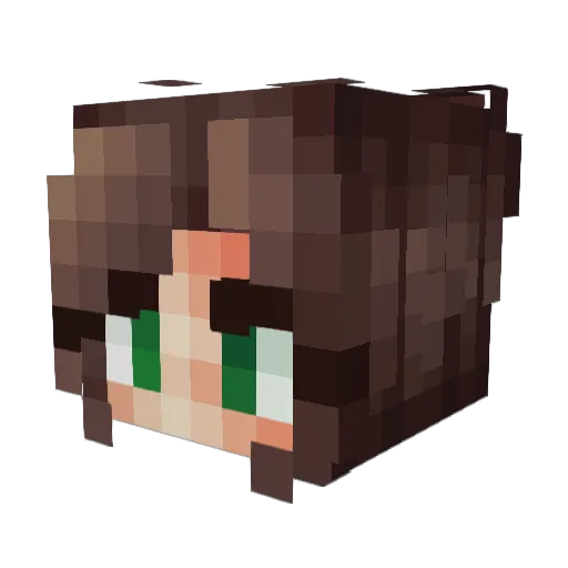 RainbowFire227 Minecraft avatar head, 3D render