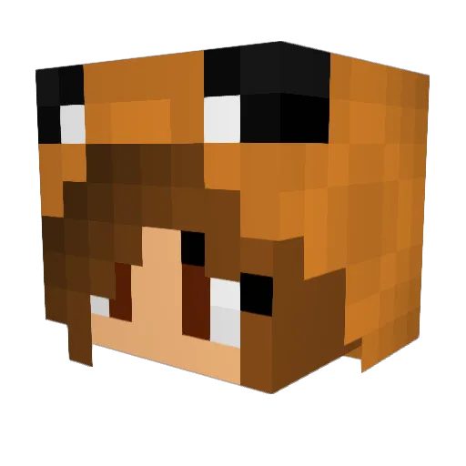 RainbowFox101 Minecraft avatar head, 3D render