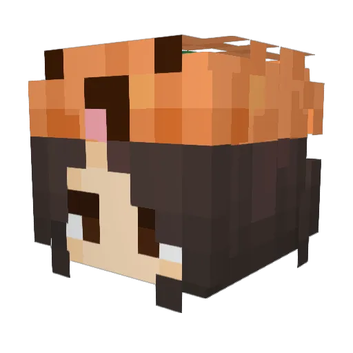 RainbowFoxly Minecraft avatar head, 3D render