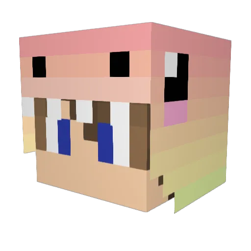 RainbowGayming Minecraft avatar head, 3D render