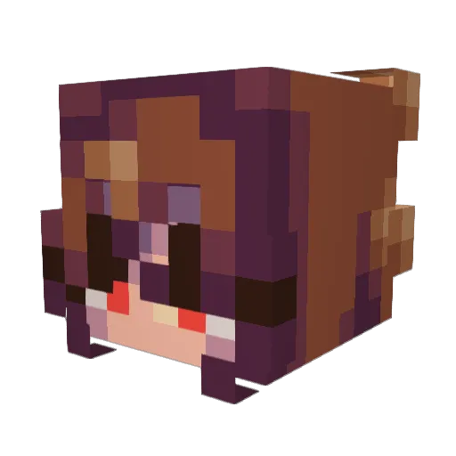 RainbowGirl8910 Minecraft avatar head, 3D render