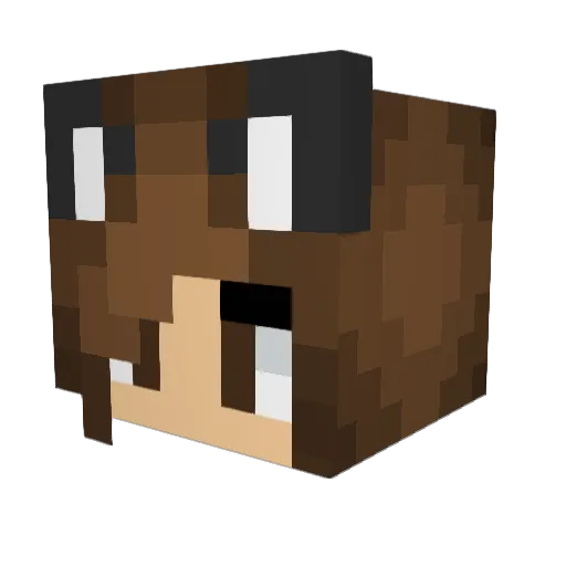 RainbowHeart101 Minecraft avatar head, 3D render