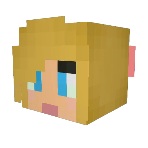 RainbowKitty452 Minecraft avatar head, 3D render