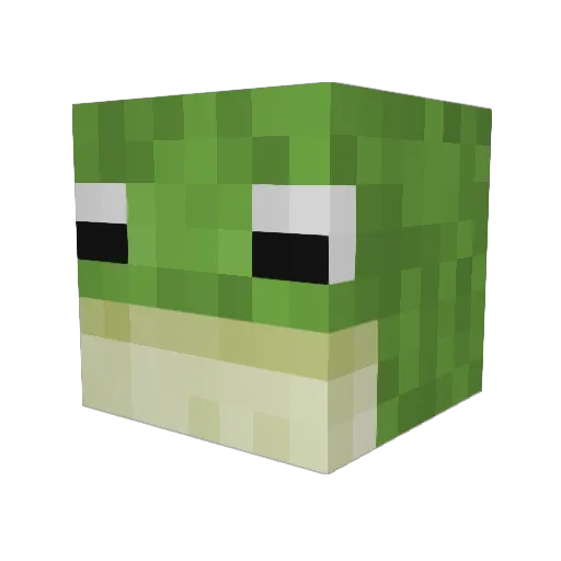 RainbowLime69 Minecraft avatar head, 3D render