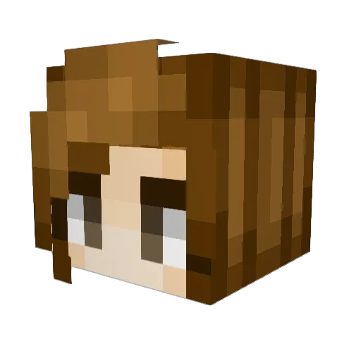 RainbowLover22 Minecraft avatar head, 3D render