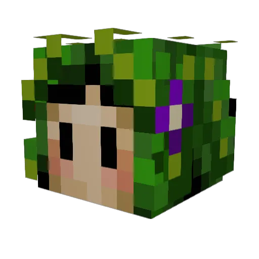 RainbowMiniWheat Minecraft avatar head, 3D render