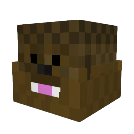 RainbowMonkey911 Minecraft avatar head, 3D render