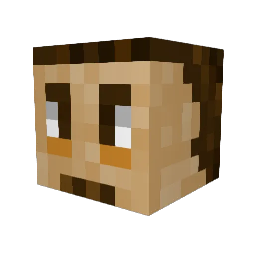 RainbowNine_5 Minecraft avatar head, 3D render