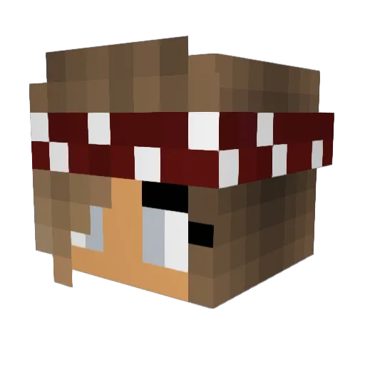 RainbowNinja16 Minecraft avatar head, 3D render