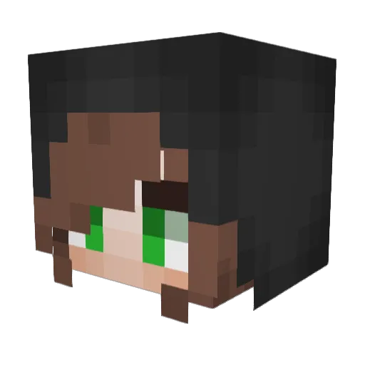RainbowRainz Minecraft avatar head, 3D render