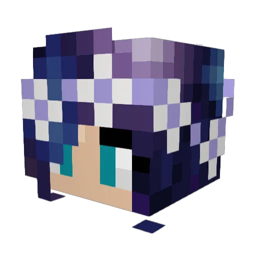 RainbowRider58 Minecraft avatar head, 3D render