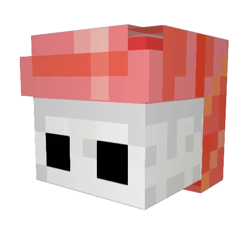 RainbowRose2011 Minecraft avatar head, 3D render