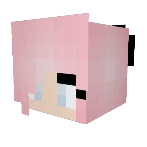 RainbowSquid69 Minecraft avatar head, 3D render