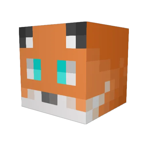 RainbowTrout751 Minecraft avatar head, 3D render