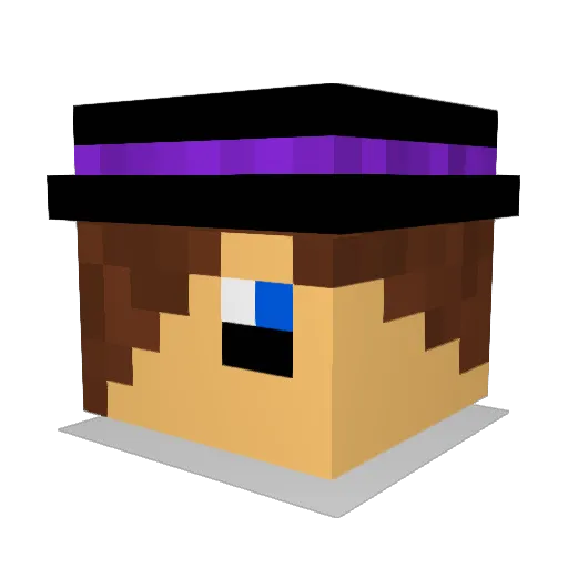RainbowWafflez Minecraft avatar head, 3D render