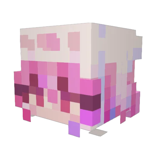 RainbowWolf211 Minecraft avatar head, 3D render