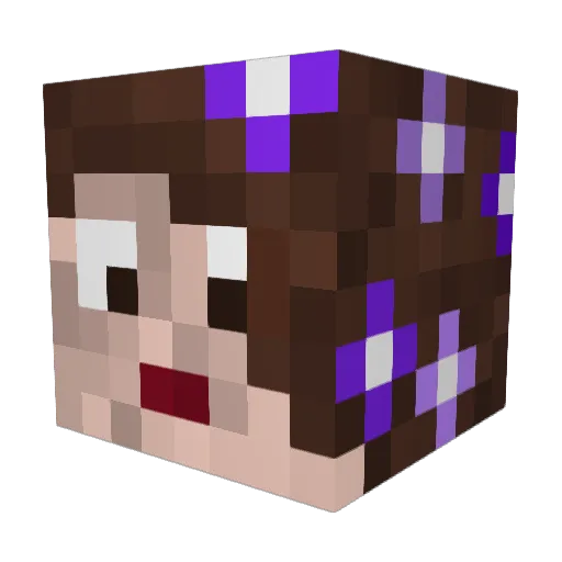 RainbowWrangler Minecraft avatar head, 3D render