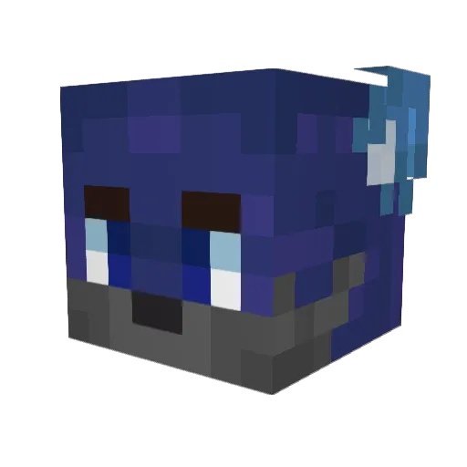 RainbowWuff Minecraft avatar head, 3D render